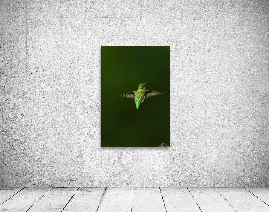 JBS 1467 Wall Preview