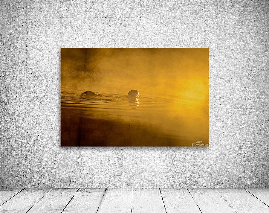 DSC 1717  Wall Preview