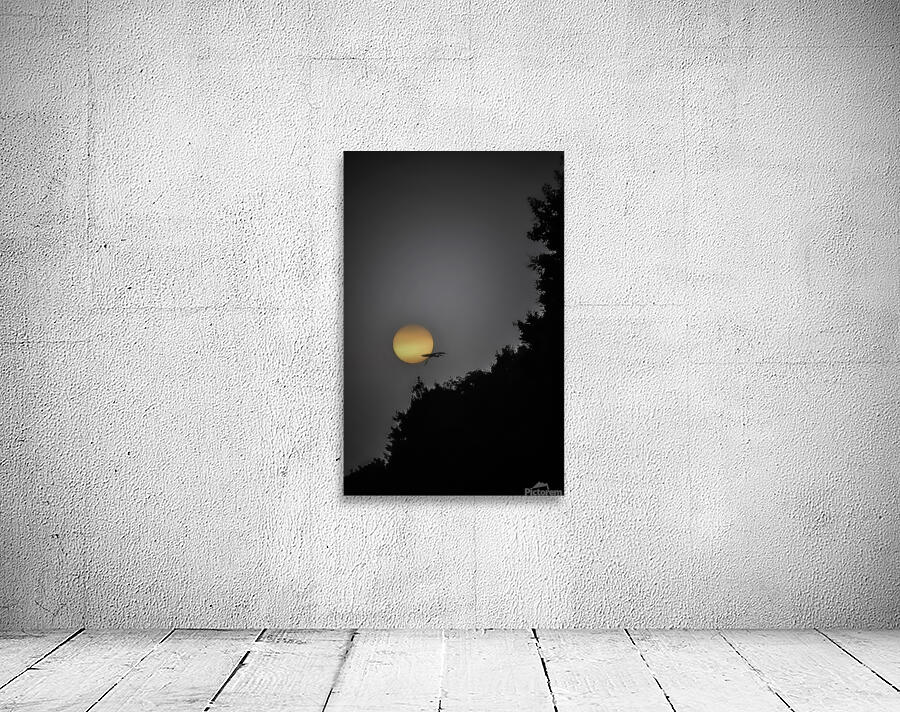 her rise 2 Wall Preview