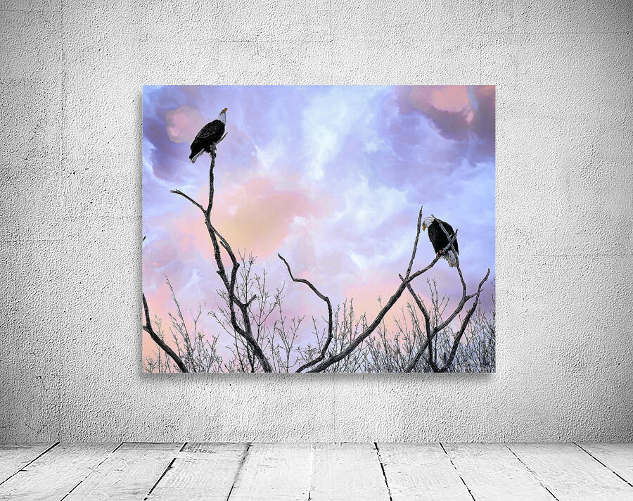 DSC 0357  Wall Preview