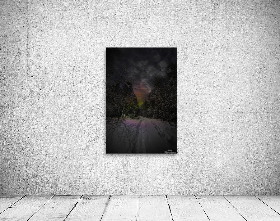 ZJS 6936  Wall Preview