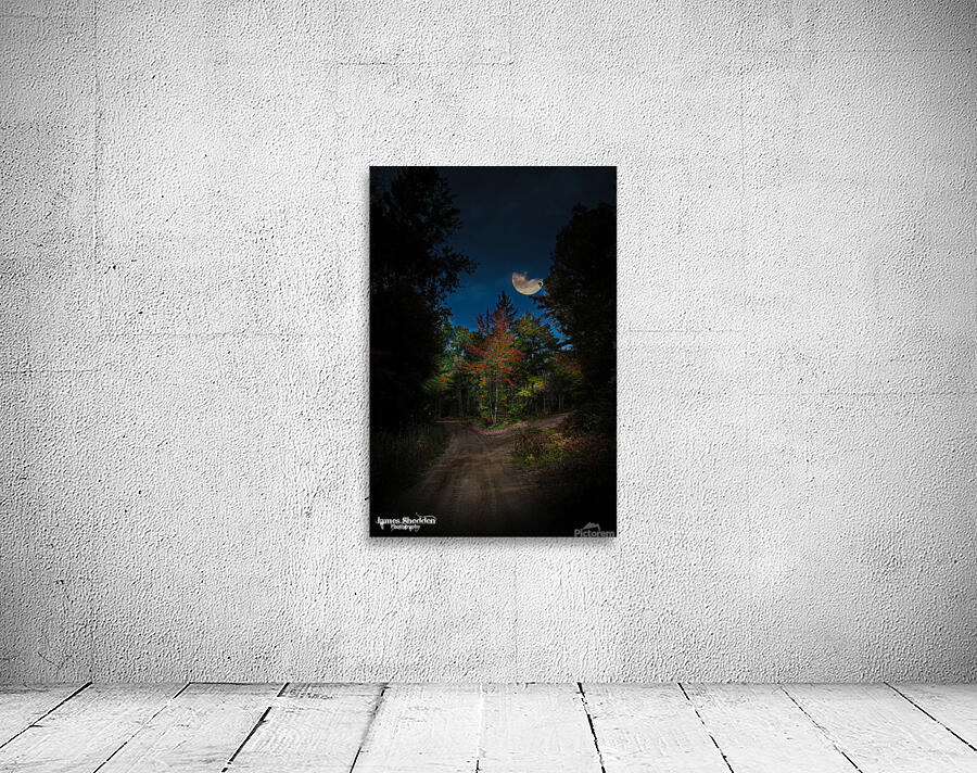 ZJS 8379  Wall Preview