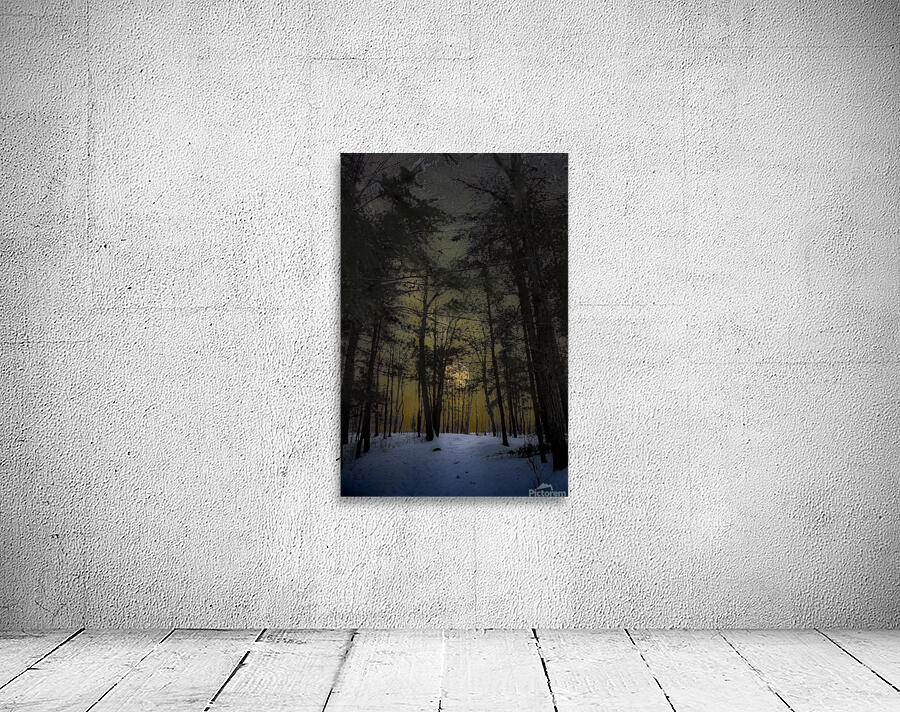 JBS 8747  Wall Preview