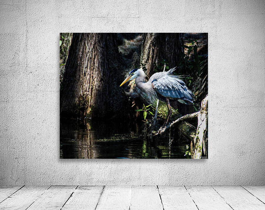 DSC 0216 2 Wall Preview