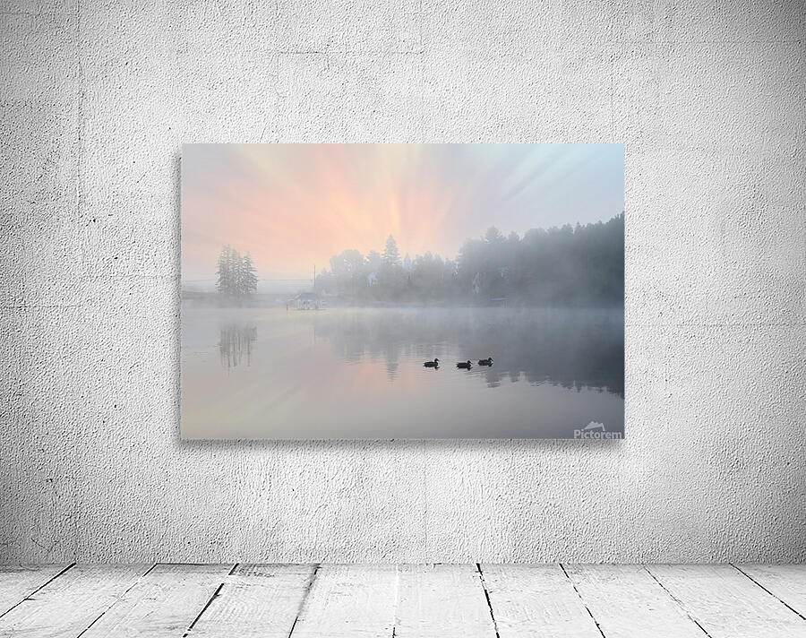 ZJS 8325  Wall Preview