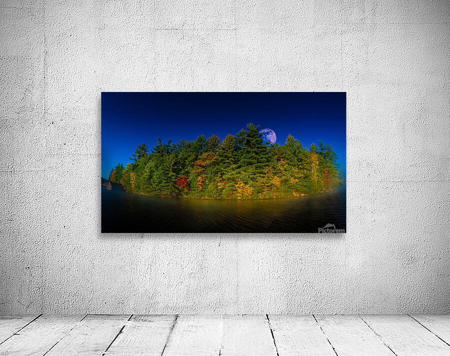 JBS 4806  Wall Preview