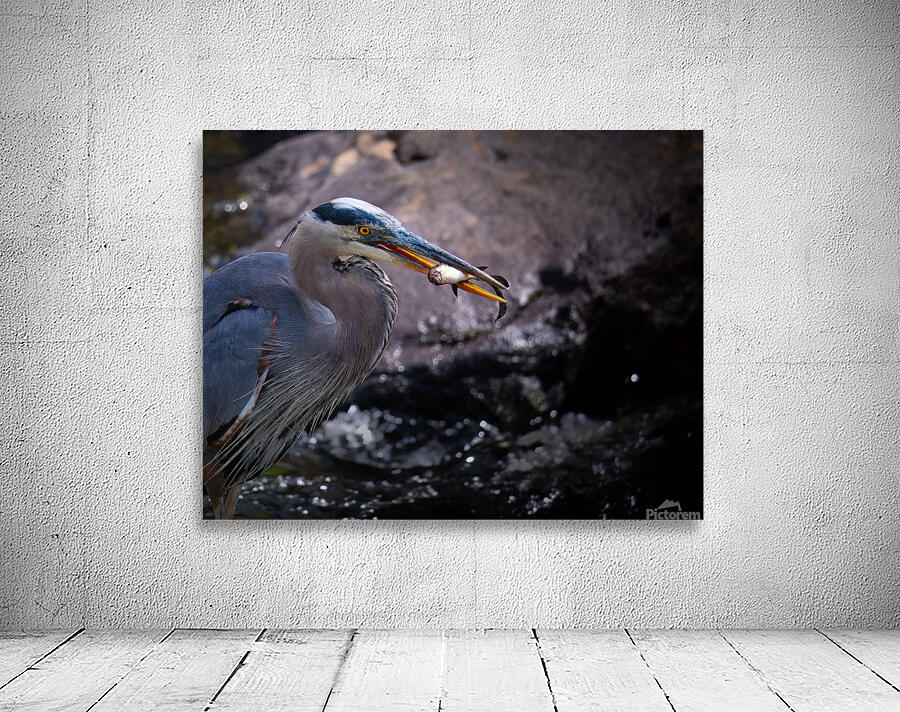 JBS 3493 2 Wall Preview