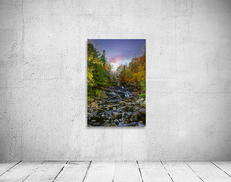 ZJS 5785  Wall Preview