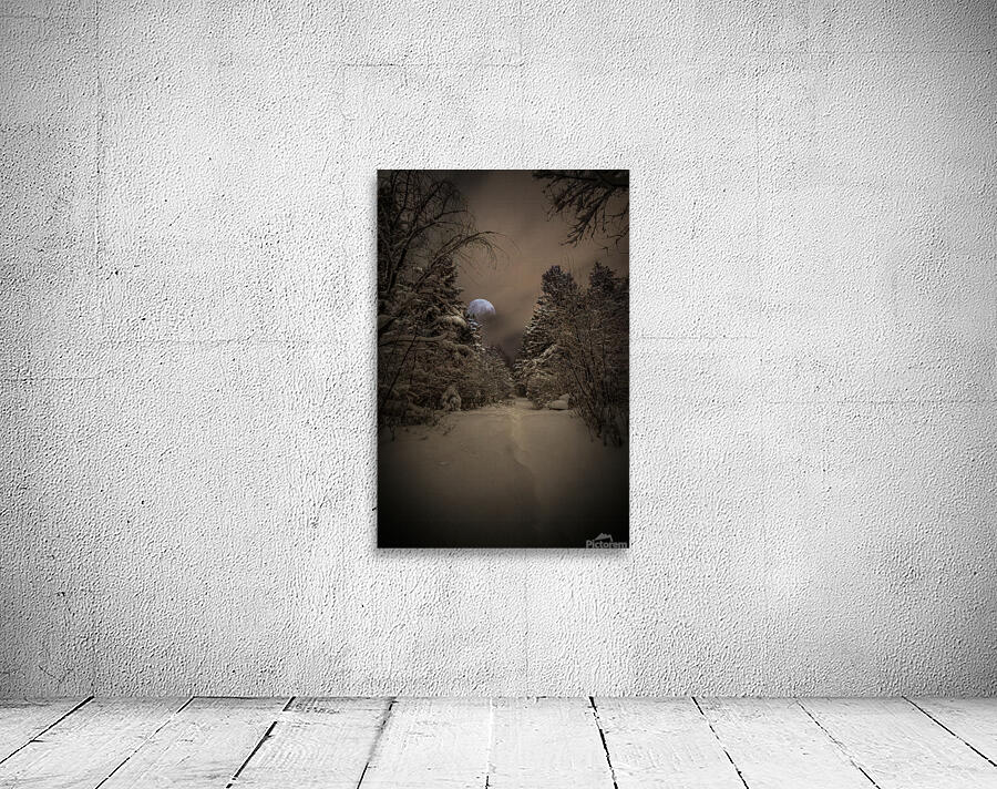 Z62 0235 2  Wall Preview