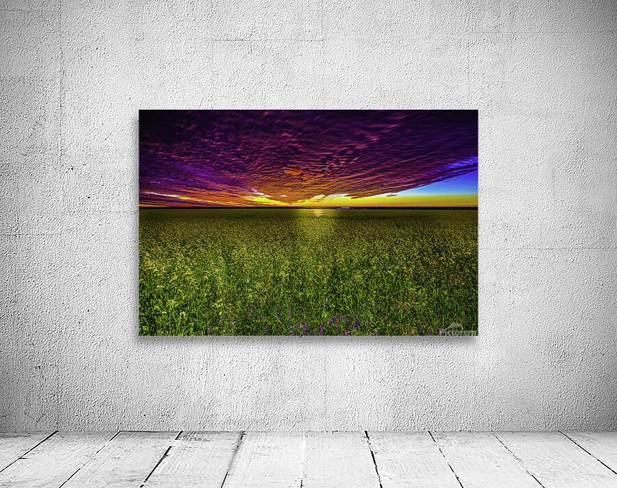 JBS 3554  Wall Preview