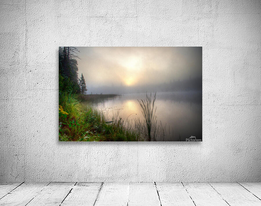 JBS 2558  Wall Preview