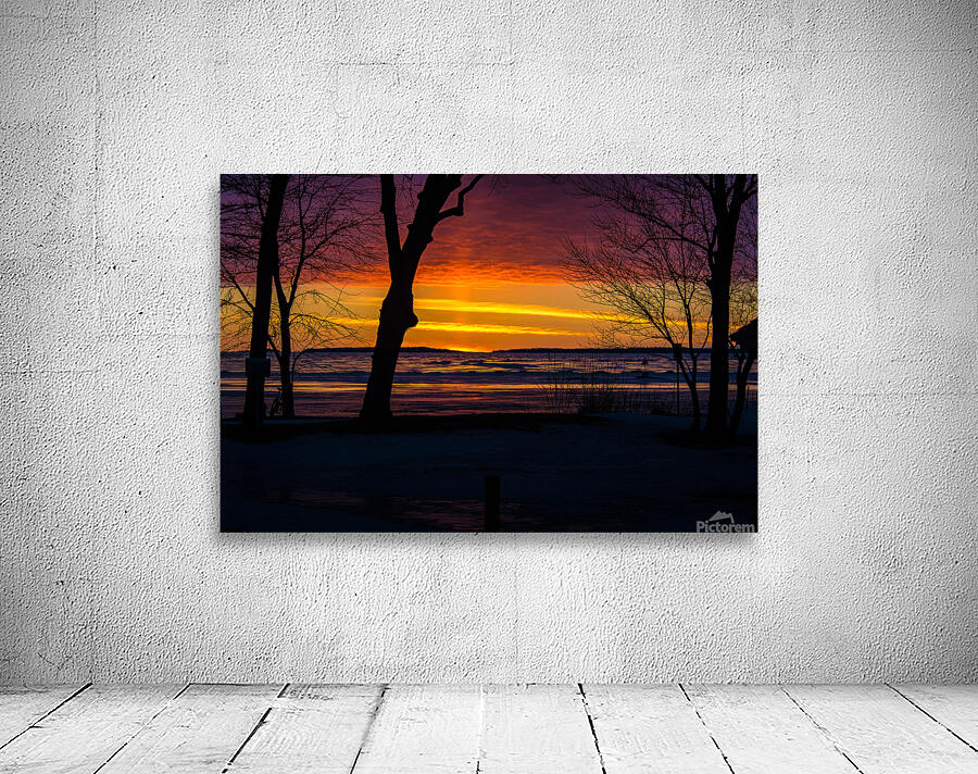 JBS 9799 Wall Preview