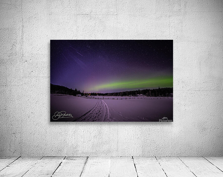 DSC 4325 Wall Preview