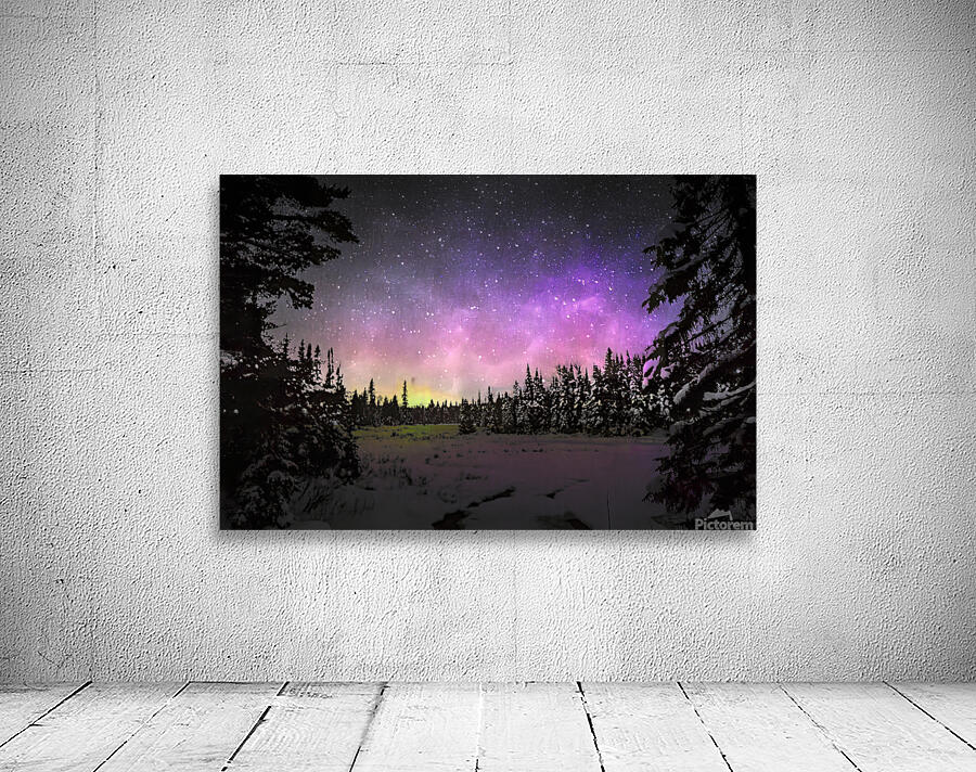 JBS 4427  Wall Preview