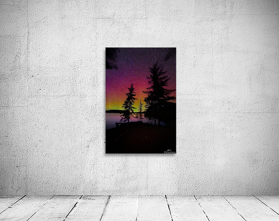 DSC 1841  Wall Preview