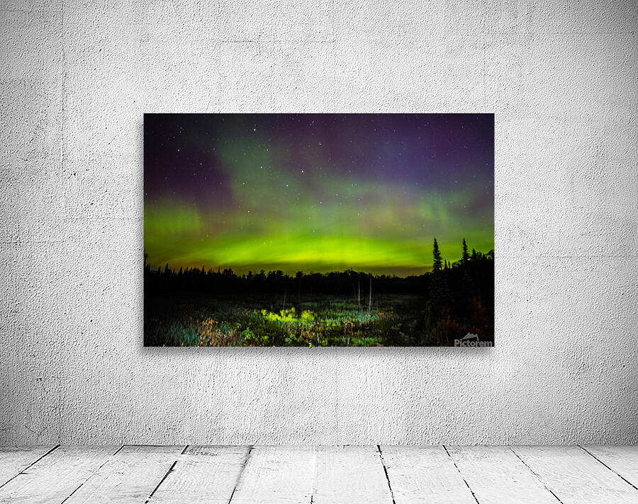 JBS 2351 Wall Preview