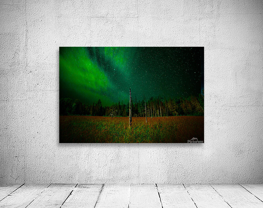 DSC 2076  Wall Preview