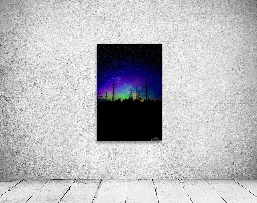 Swamp Northern Lights Wall Preview