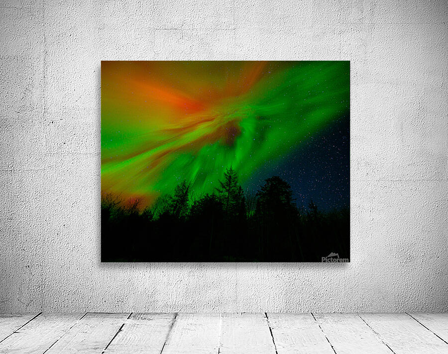 DSC 4390  Wall Preview