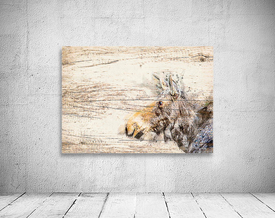 Cow Moose Abstract Wall Preview