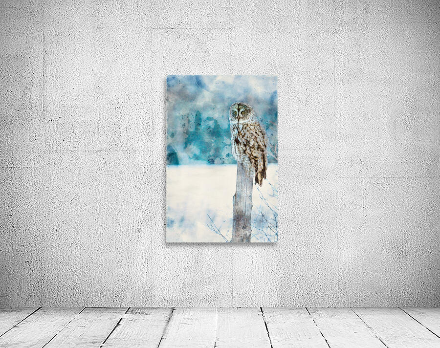jbs 5420 owl abstract Wall Preview