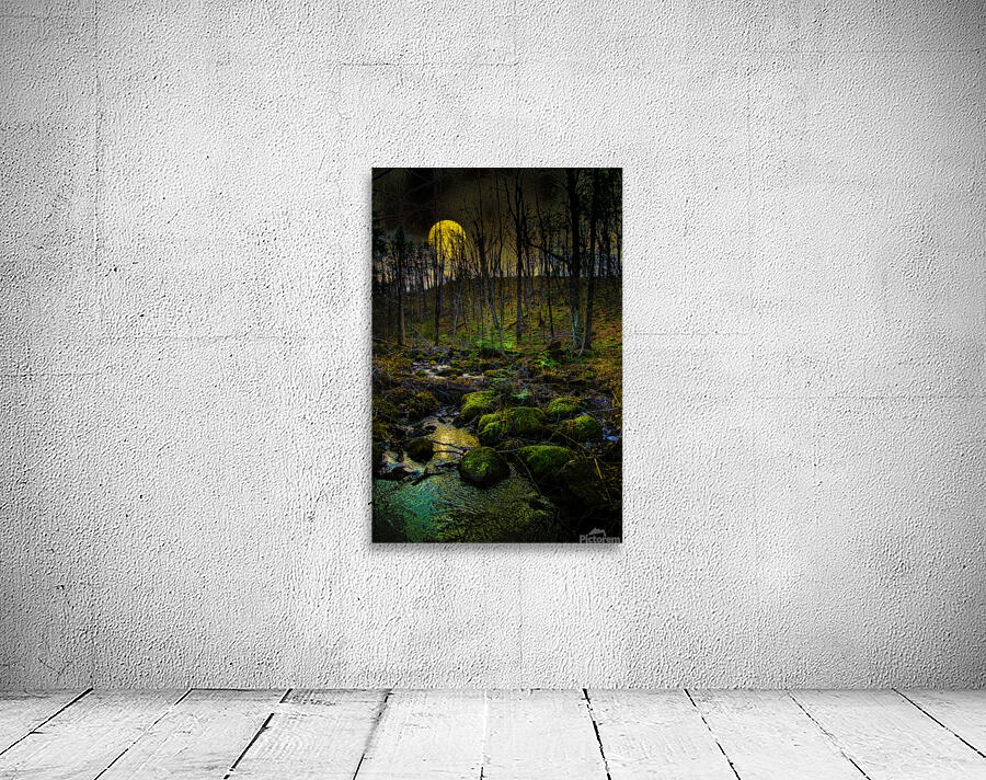 JBS 9682  Wall Preview