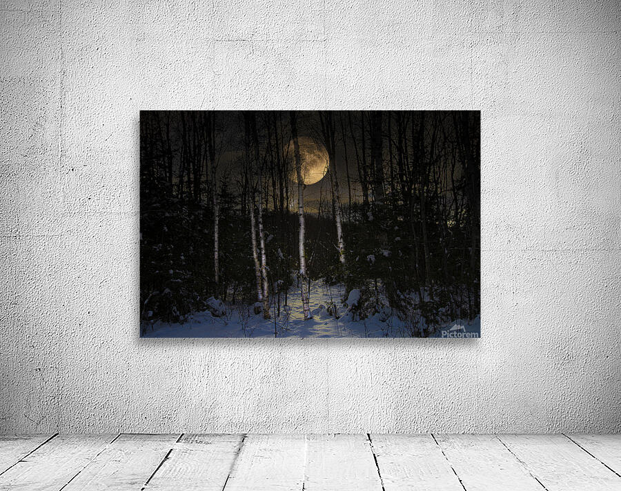 JBS 9973  Wall Preview