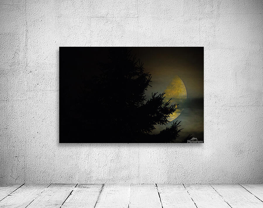 JBS 9933  Wall Preview