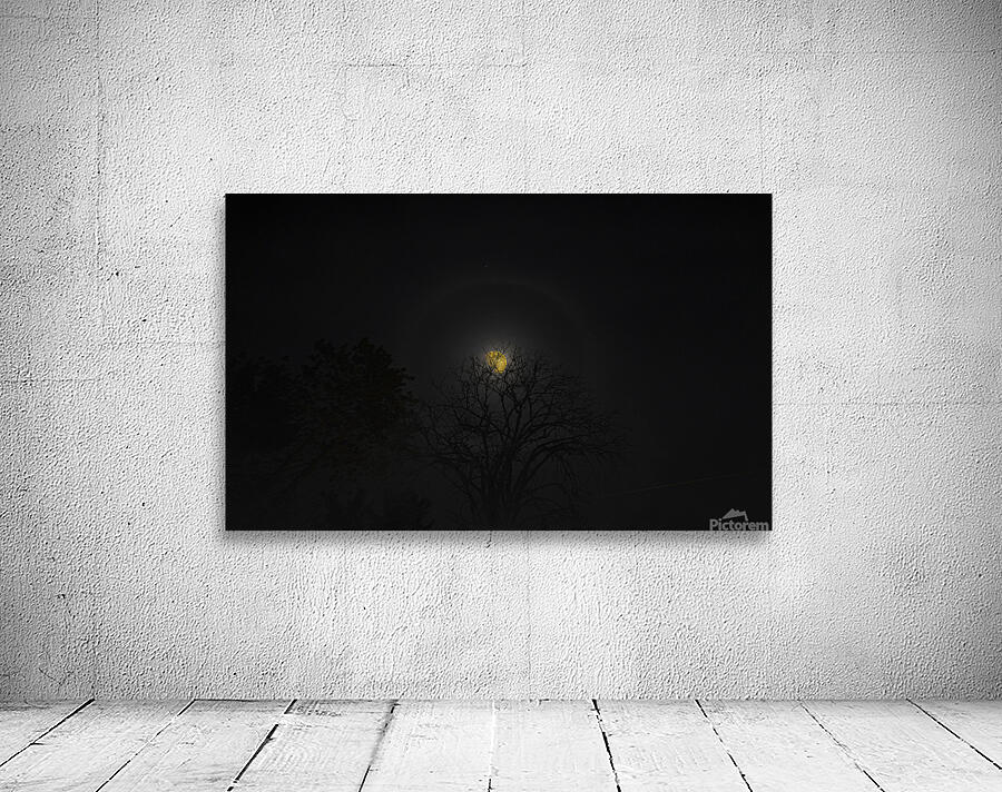 JBS 6094 Wall Preview