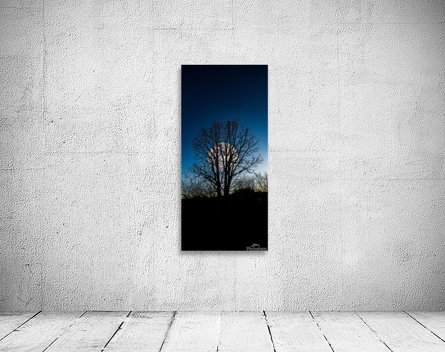 JBS 0046  Wall Preview