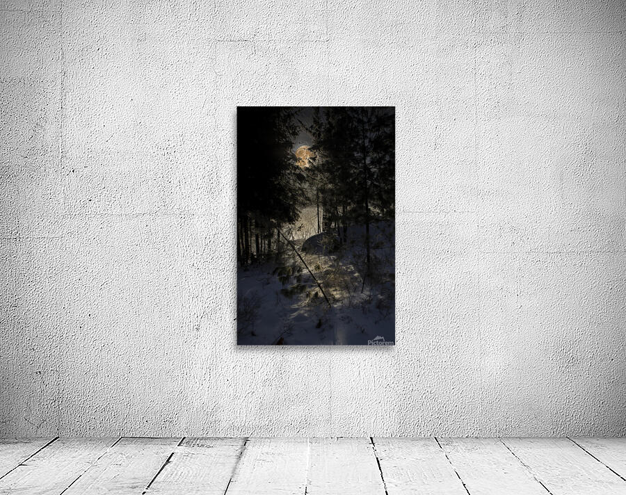 JBS 8757  Wall Preview