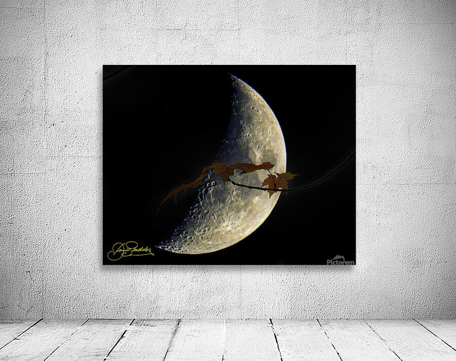 JBS 3686  Wall Preview