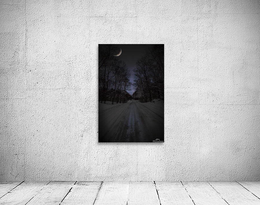 ZJS 6317  Wall Preview