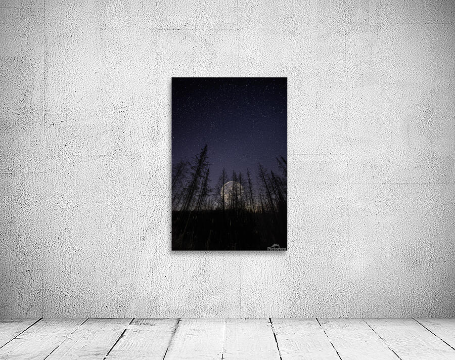 JBS 0765 Wall Preview