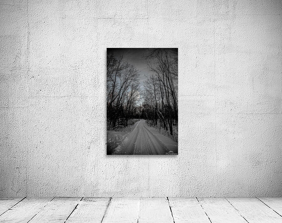 JBS 0236  Wall Preview