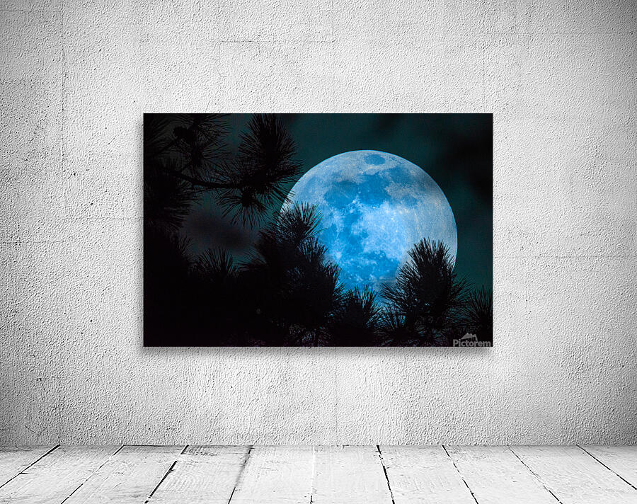 JBS 0093  Wall Preview