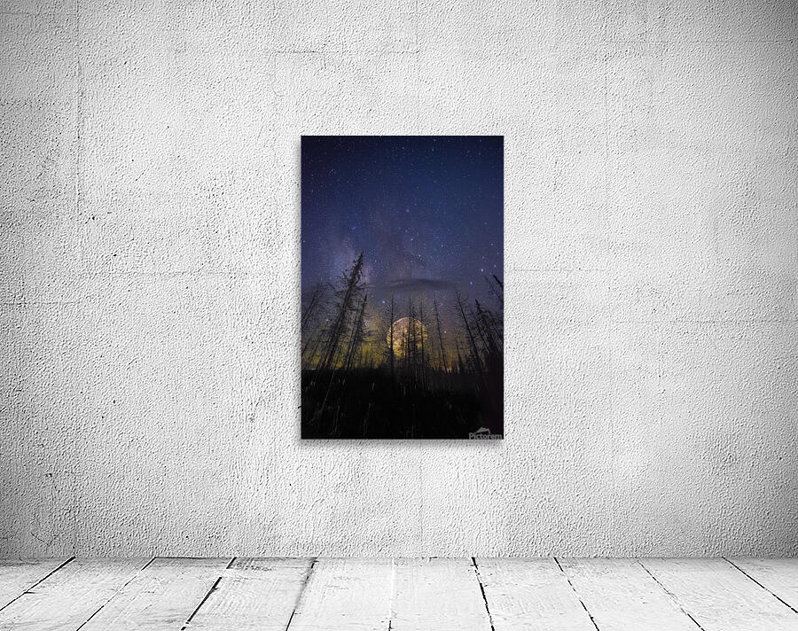 JBS 07652 Wall Preview