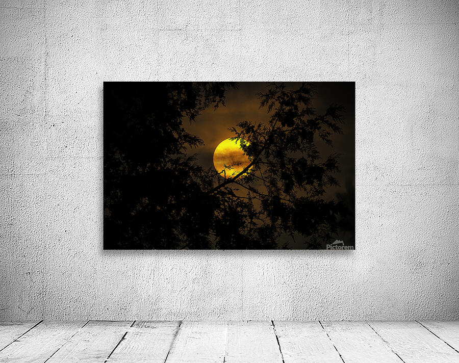 JBS 3573  Wall Preview