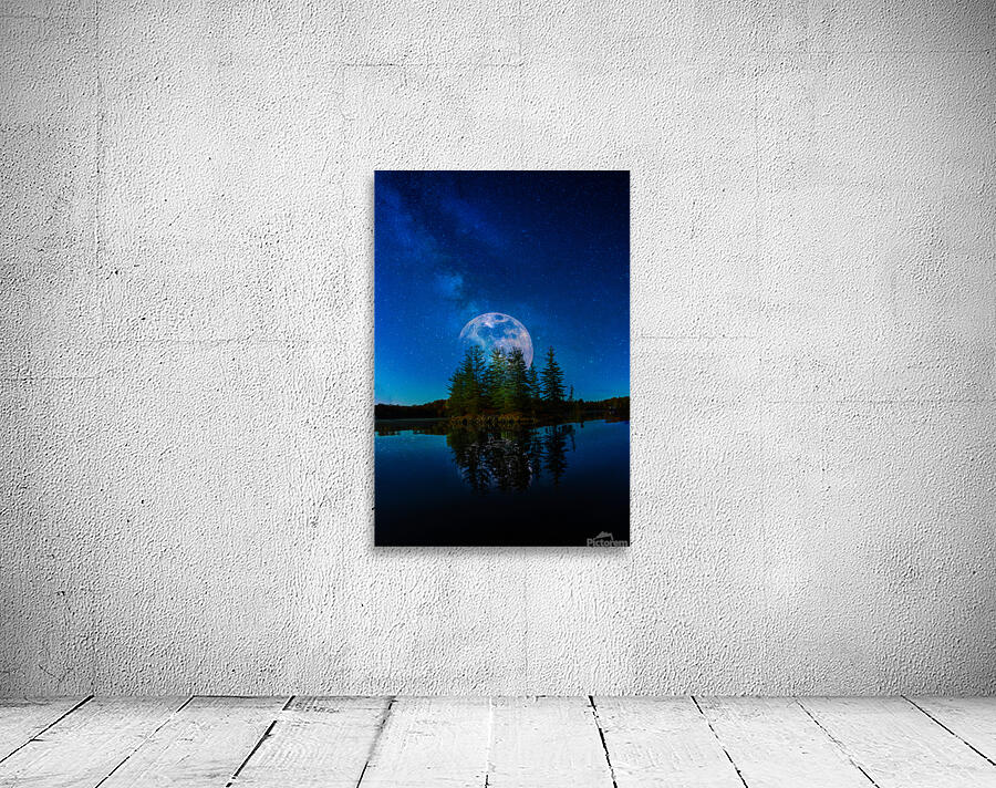 JBS 4810  Wall Preview