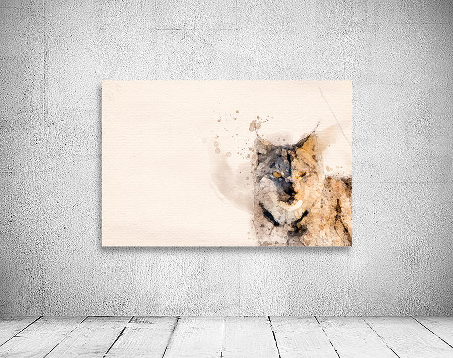 JBS 8771  Wall Preview