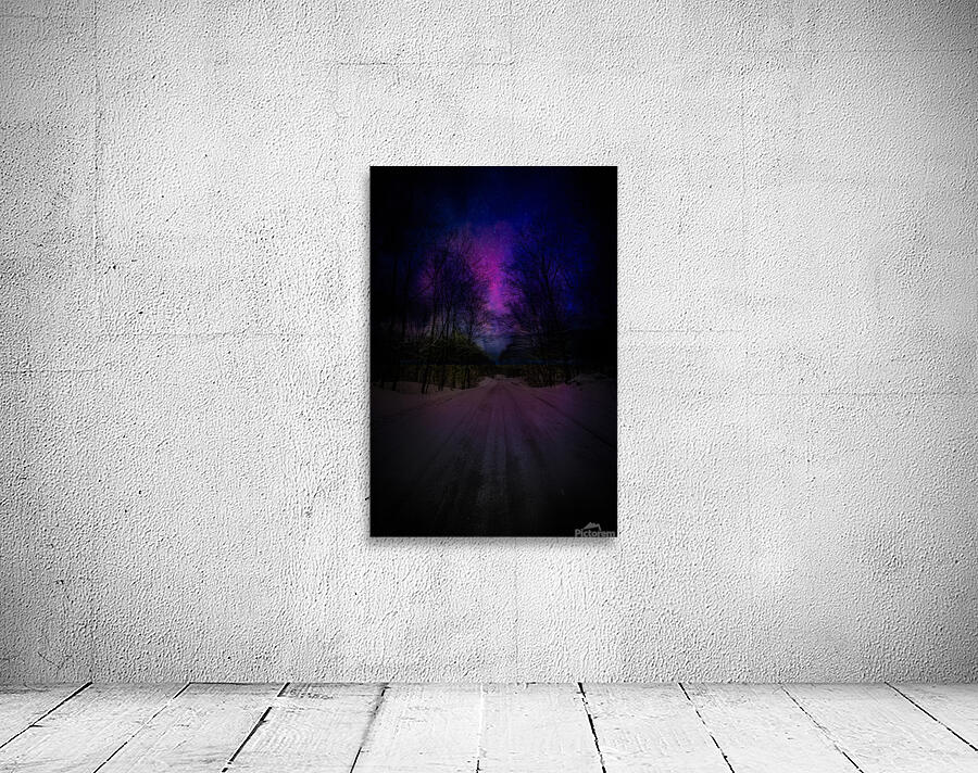 ZJS 6317  Wall Preview