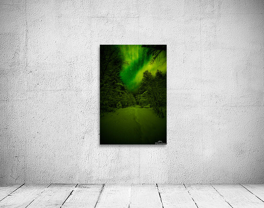 Z62 0234 2  Wall Preview