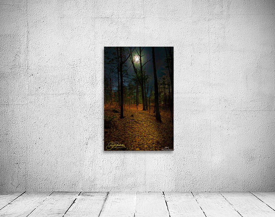 DSC 3665 1 Wall Preview