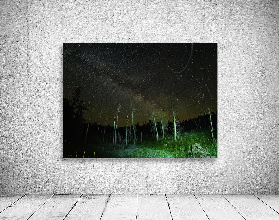 CRC 1493 Wall Preview