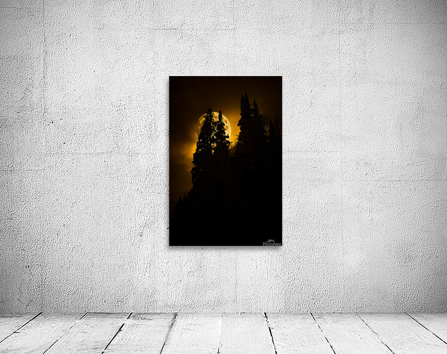 CRC 0731 Wall Preview