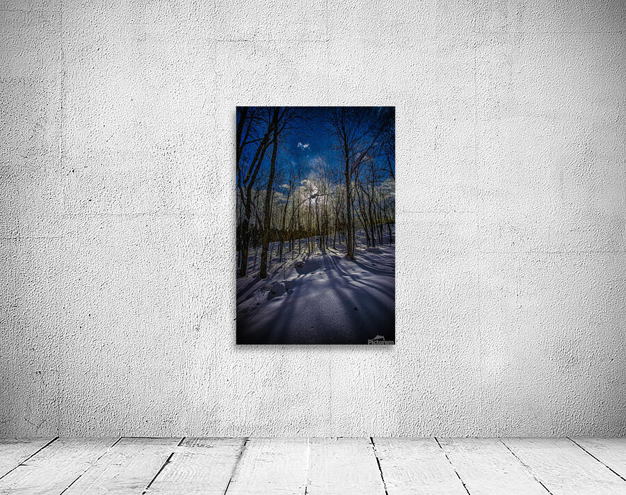 JBS 0402  Wall Preview