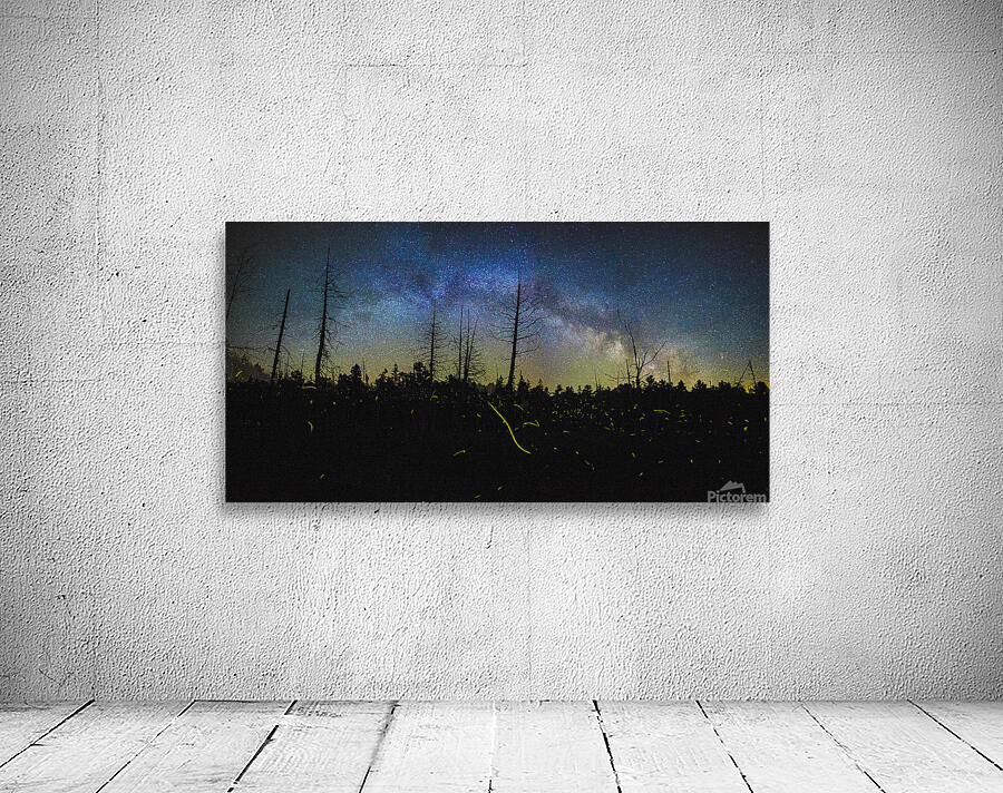 JBS 1455 Wall Preview