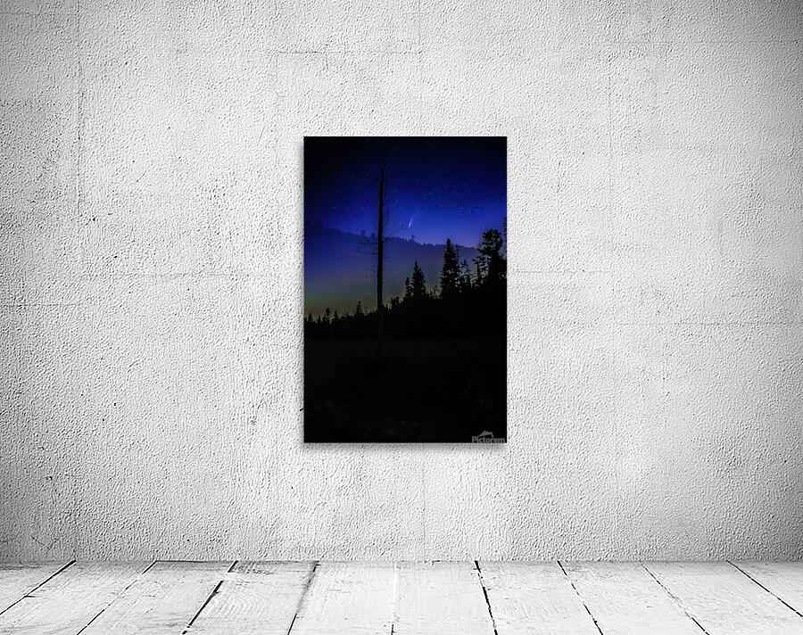 JBS 3699 3 Wall Preview