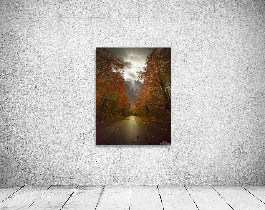 JBS 3790  Wall Preview