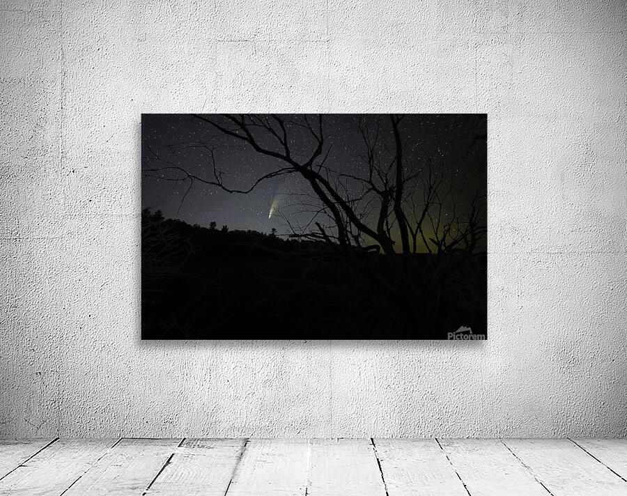 JBS 2415 comet Wall Preview